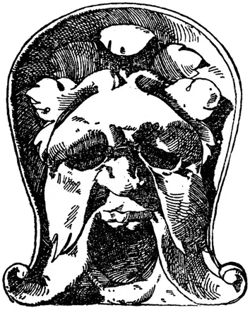 Rostro grotesco de apariencia monstruosa, máscara simbólica de la deformación del individuo bajo el rol social